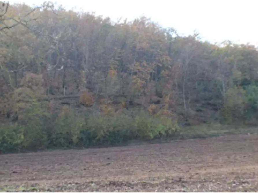 Immagine 5 di Terreno agricolo in vendita  in Località Campodarco a Nocera Umbra