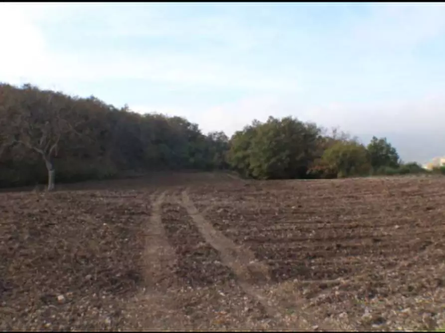 Immagine 6 di Terreno agricolo in vendita  in Località Campodarco a Nocera Umbra