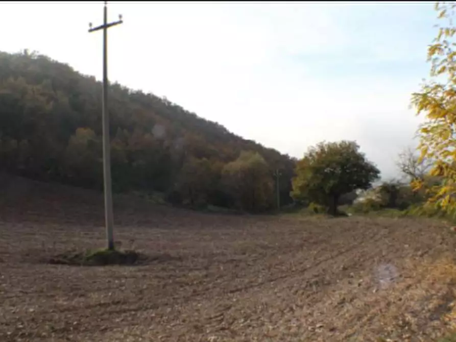 Immagine 7 di Terreno agricolo in vendita  in Località Campodarco a Nocera Umbra
