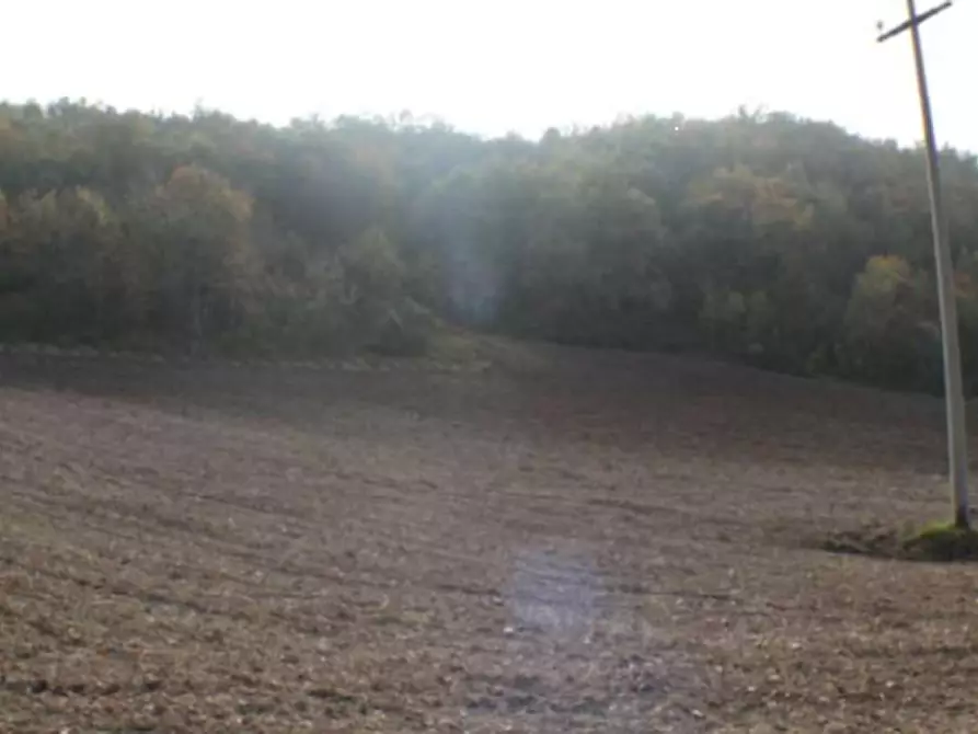 Immagine 8 di Terreno agricolo in vendita  in Località Campodarco a Nocera Umbra