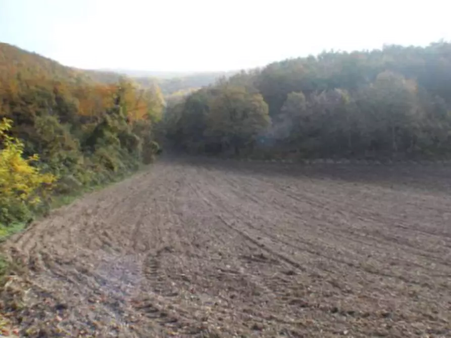 Immagine 9 di Terreno agricolo in vendita  in Località Campodarco a Nocera Umbra