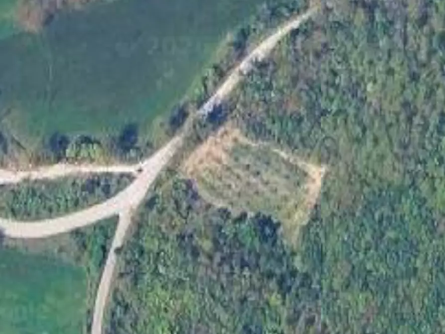 Immagine 11 di Terreno agricolo in vendita  in Località Campodarco a Nocera Umbra