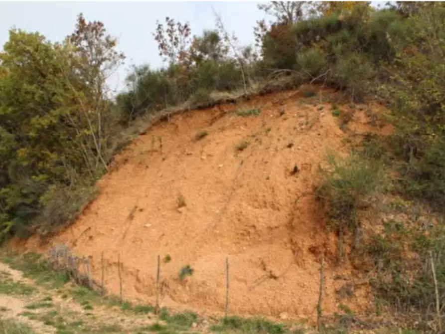 Immagine 2 di Terreno agricolo in vendita  in Località San Silvestro a Valtopina