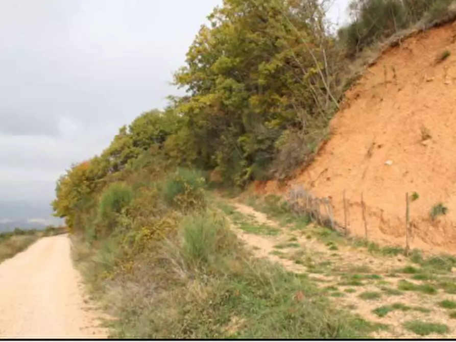 Immagine 3 di Terreno agricolo in vendita  in Località San Silvestro a Valtopina