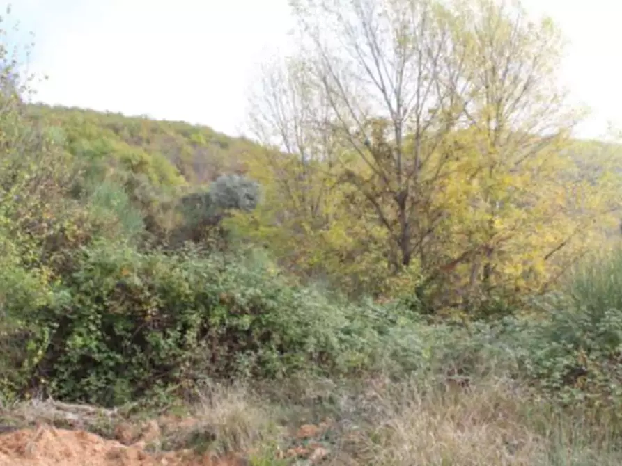 Immagine 4 di Terreno agricolo in vendita  in Località San Silvestro a Valtopina