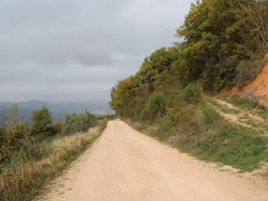 Immagine 5 di Terreno agricolo in vendita  in Località San Silvestro a Valtopina