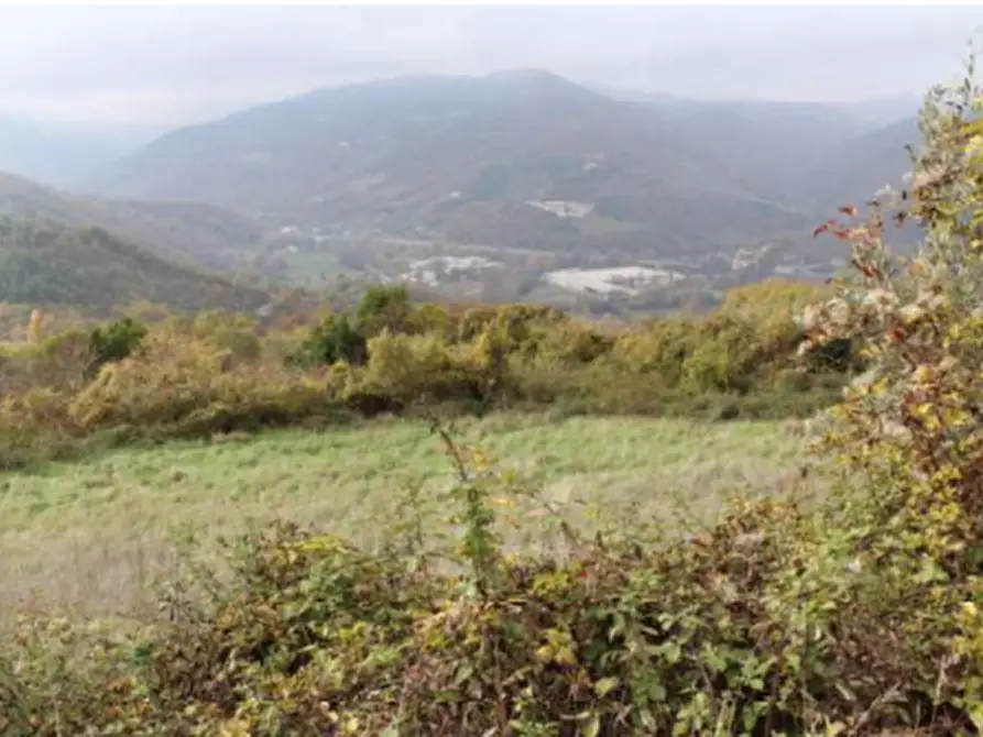 Immagine 1 di Terreno agricolo in vendita  in Località San Silvestro a Valtopina