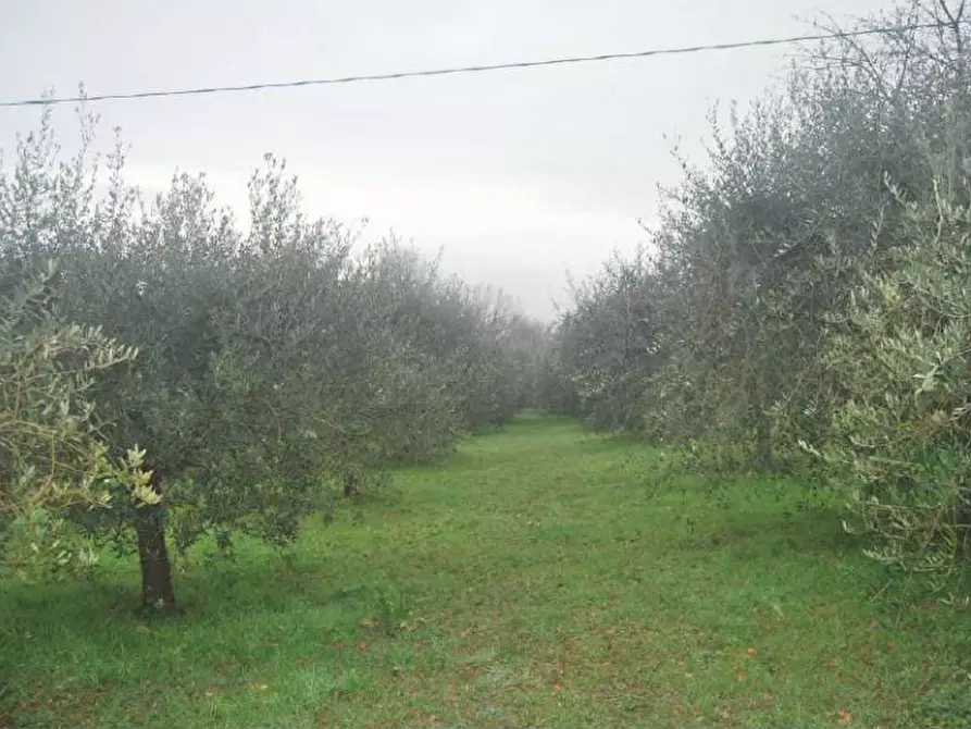 Immagine 6 di Porzione di casa in vendita  in Strada Ronta Campagna a Borgo San Lorenzo