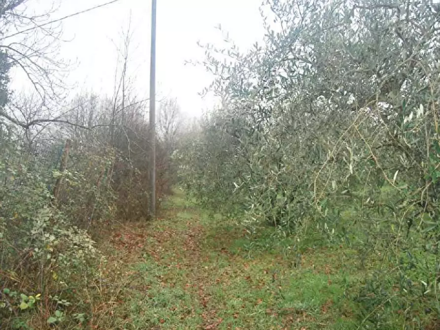 Immagine 7 di Porzione di casa in vendita  in Strada Ronta Campagna a Borgo San Lorenzo