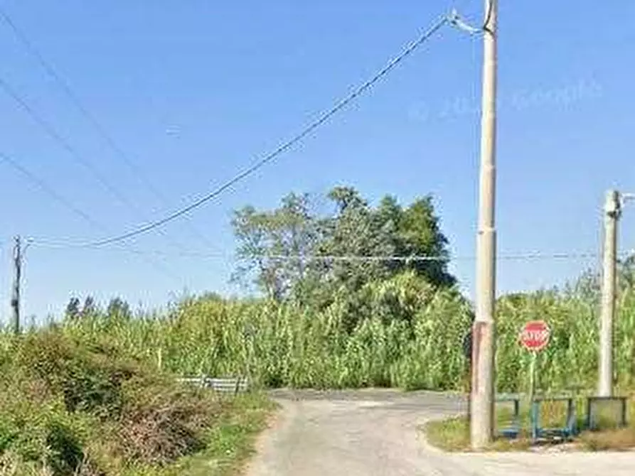 Immagine 4 di Appartamento in vendita  in Via Taglio Delle Cinque Miglia a Nettuno