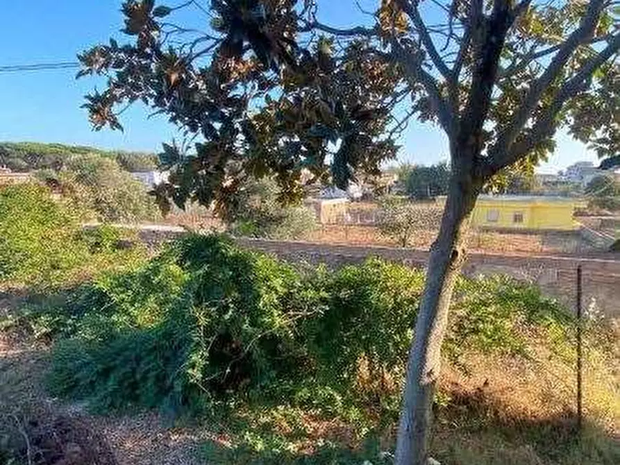 Immagine 14 di Villetta a schiera in vendita  in Via Jenne a Anzio