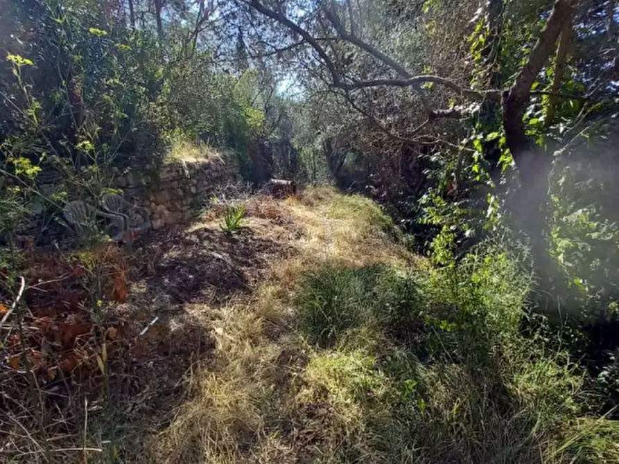 Immagine 20 di Casa bifamiliare in vendita  in Via Fontibucci a Bagno A Ripoli
