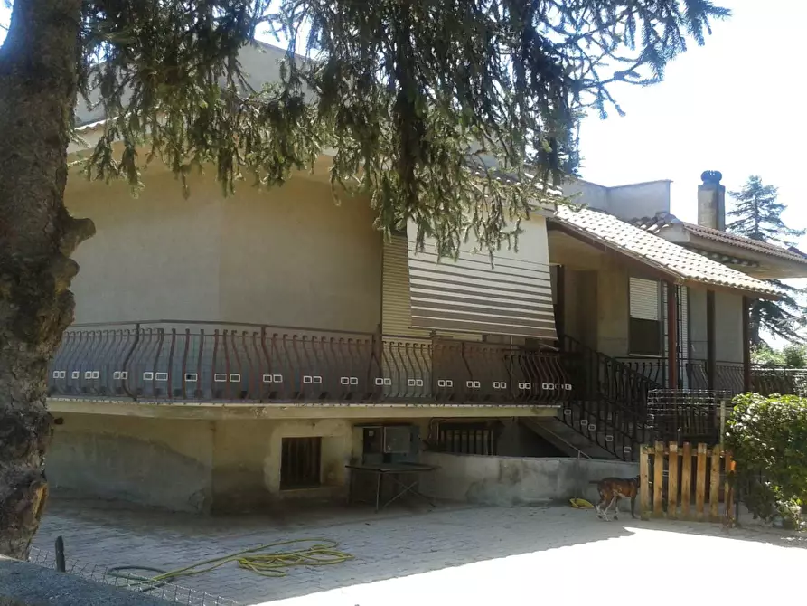 Immagine 3 di Appartamento in vendita  in Via Pascolare Basso a Lanuvio