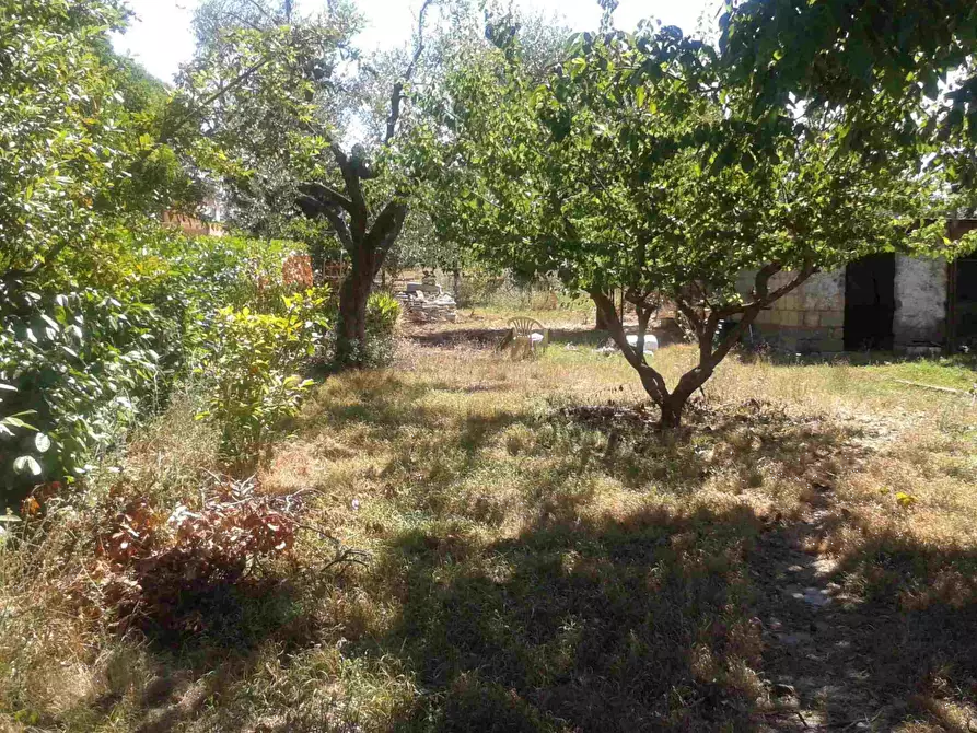 Immagine 8 di Appartamento in vendita  in Via Pascolare Basso a Lanuvio