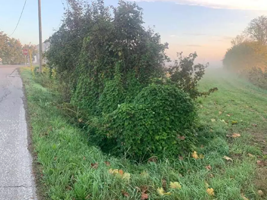 Immagine 3 di Terreno edificabile in vendita  in Strada Zara Zanetta a Suzzara