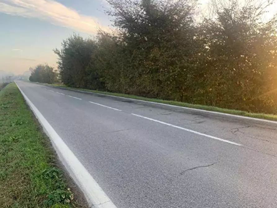 Immagine 4 di Terreno edificabile in vendita  in Strada Zara Zanetta a Suzzara