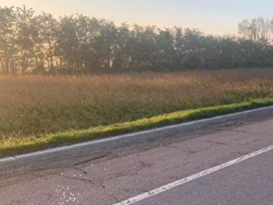 Immagine 6 di Terreno edificabile in vendita  in Strada Zara Zanetta a Suzzara