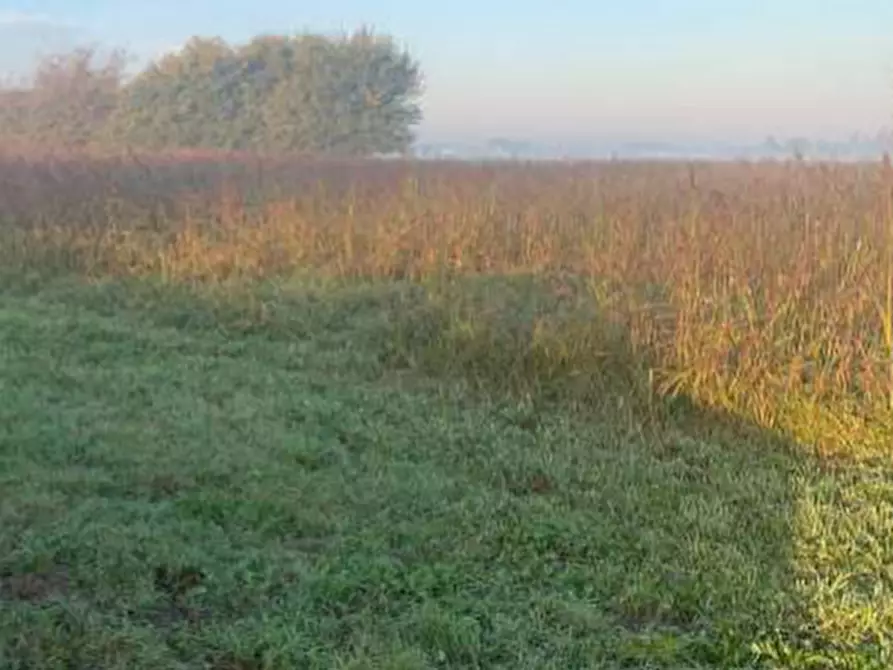 Immagine 7 di Terreno edificabile in vendita  in Strada Zara Zanetta a Suzzara