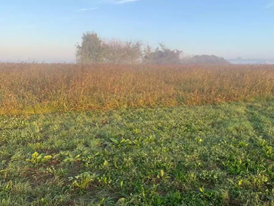Immagine 8 di Terreno edificabile in vendita  in Strada Zara Zanetta a Suzzara