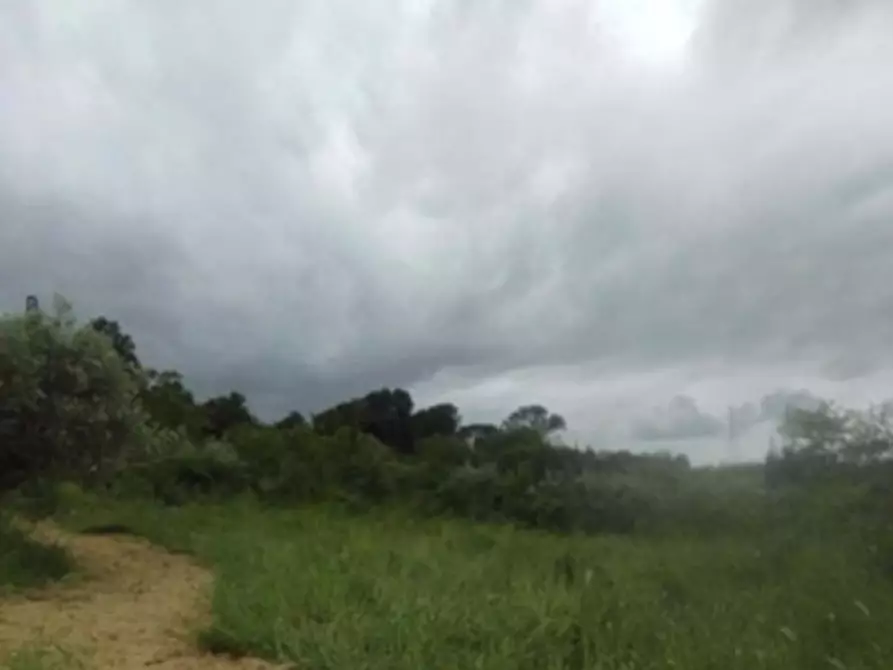 Immagine 4 di Capannone industriale in vendita  in Via Cannetacci a Mentana