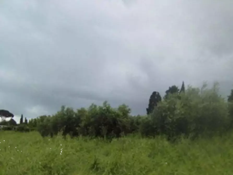 Immagine 5 di Capannone industriale in vendita  in Via Cannetacci a Mentana