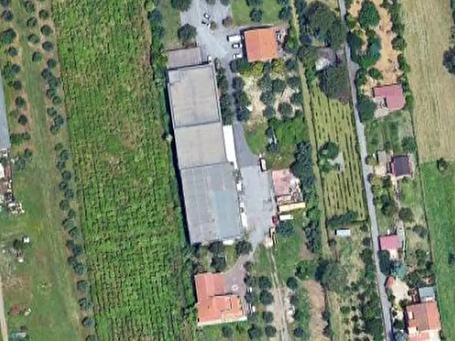 Immagine 11 di Terreno agricolo in vendita  in Via di Santa Fumia a Roma