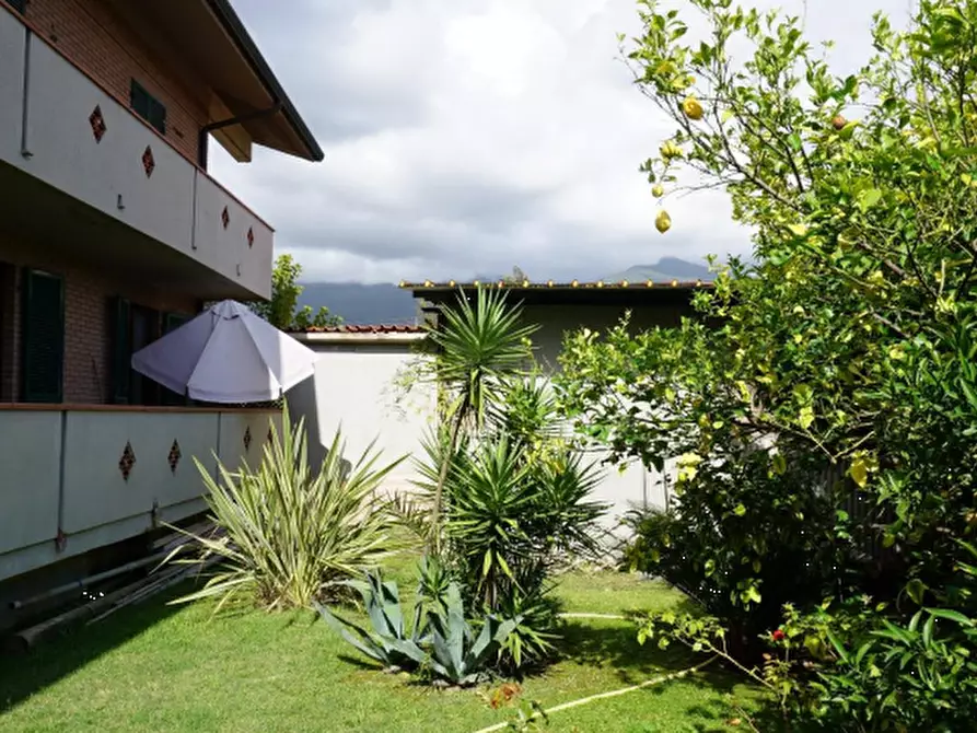 Immagine 19 di Hotel in vendita  in Via Foce Morta a Montignoso