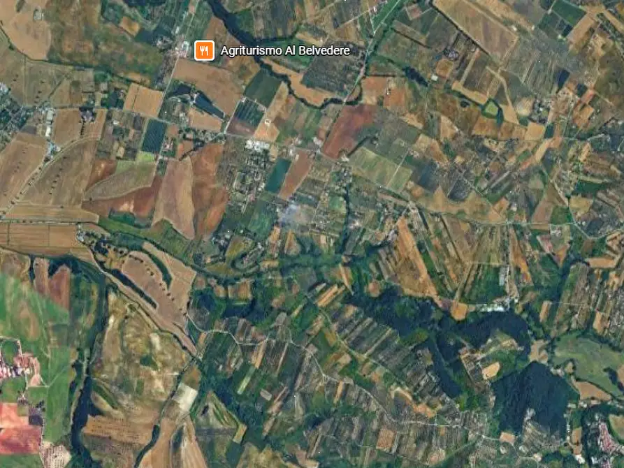 Immagine 4 di Villa in vendita  in Strada Torre della Fiora a Palombara Sabina