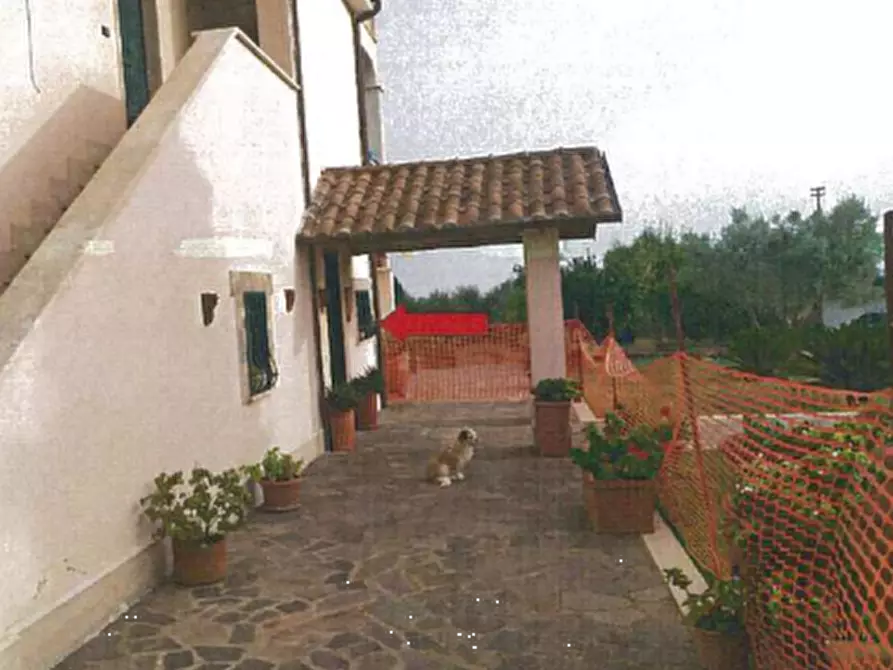 Immagine 3 di Appartamento in vendita  in Via Ponte Tre Armi a Genzano Di Roma