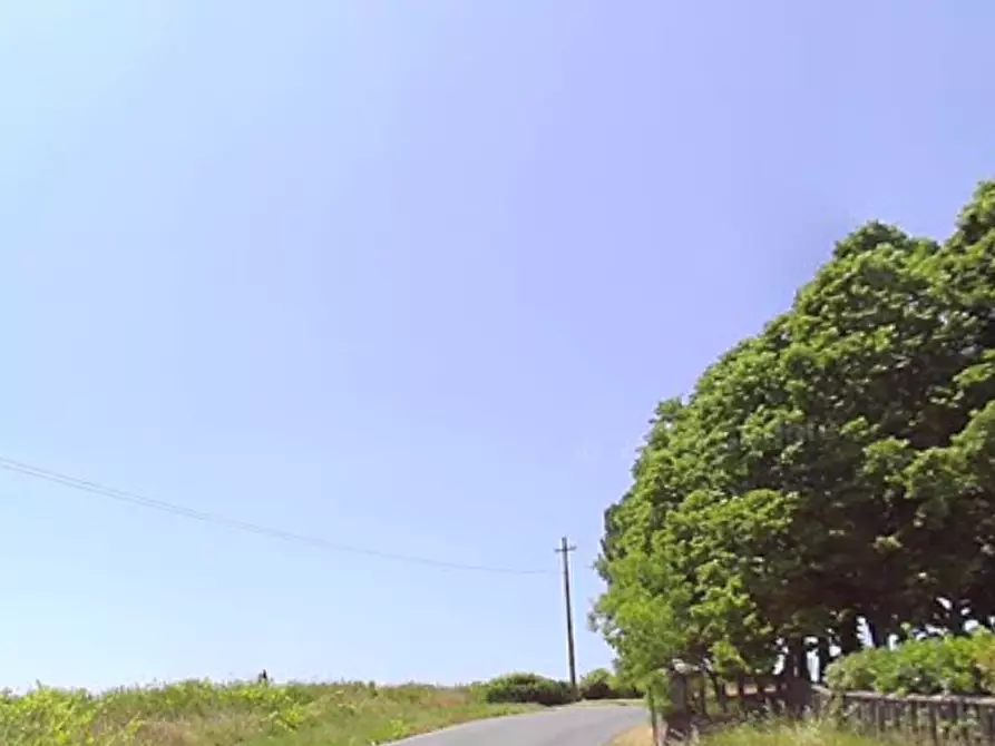 Immagine 6 di Terreno edificabile in vendita  in Via Santa Maria Novella  a Certaldo
