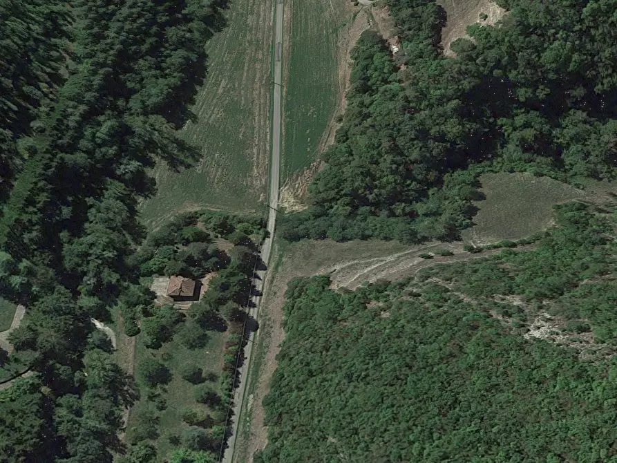 Immagine 5 di Terreno agricolo in vendita  in Localita' Valle Acerreta Valdrè a Marradi
