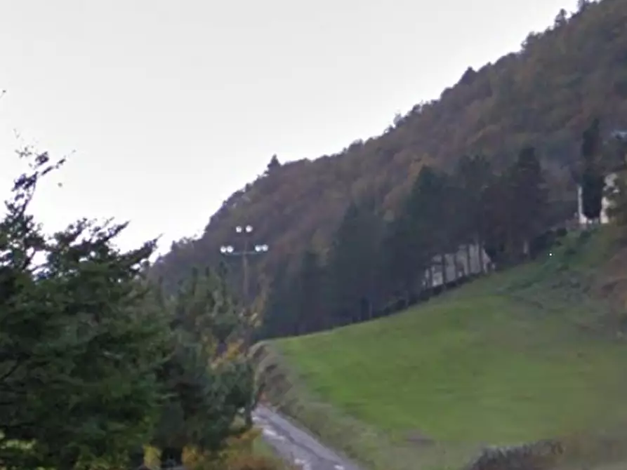 Immagine 6 di Terreno agricolo in vendita  in Localita' Valle Acerreta Valdrè a Marradi