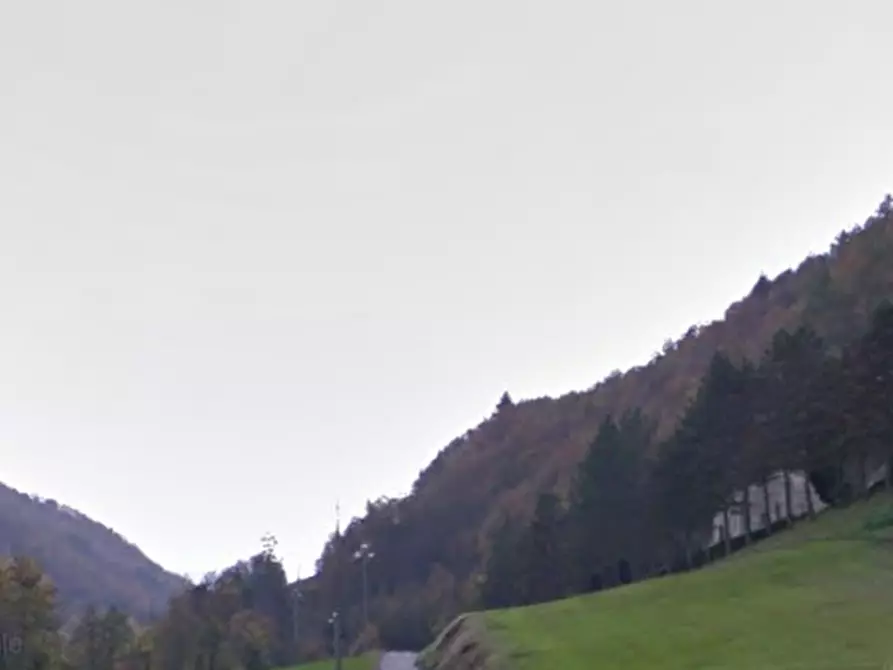 Immagine 7 di Terreno agricolo in vendita  in Localita' Valle Acerreta Valdrè a Marradi