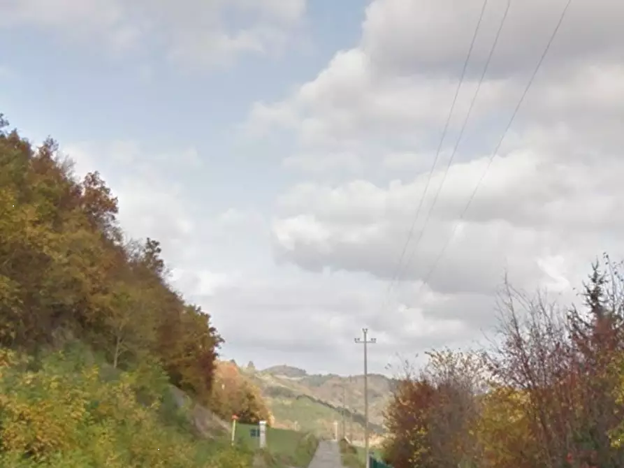 Immagine 8 di Terreno agricolo in vendita  in Localita' Valle Acerreta Valdrè a Marradi