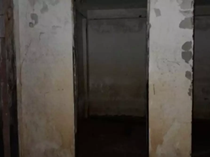 Immagine 17 di Terreno agricolo in vendita  in Via delle Margherite a Pomezia