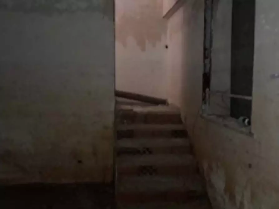 Immagine 20 di Terreno agricolo in vendita  in Via delle Margherite a Pomezia