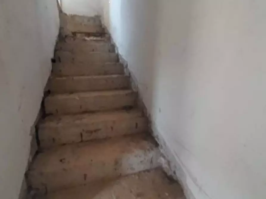 Immagine 24 di Terreno agricolo in vendita  in Via delle Margherite a Pomezia