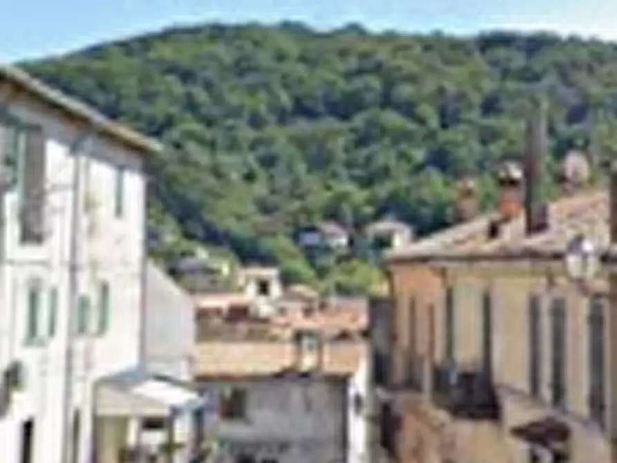 Immagine 8 di Appartamento in vendita  in Via Klitshe a Allumiere