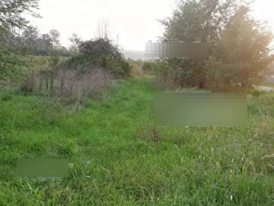 Immagine 9 di Terreno edificabile in vendita  in Via Croce Rossa a Pozzolengo