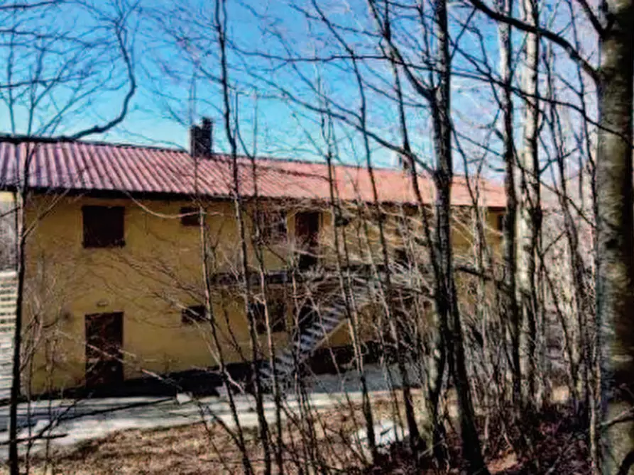 Immagine 3 di Appartamento in vendita  in Località Cerreto a Fivizzano