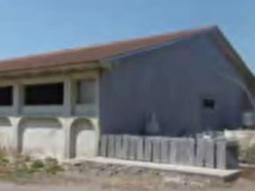 Immagine 1 di Azienda agricola in vendita  in Via Morengo  a Isorella