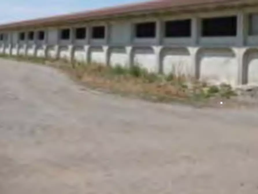 Immagine 2 di Azienda agricola in vendita  in Via Morengo  a Isorella