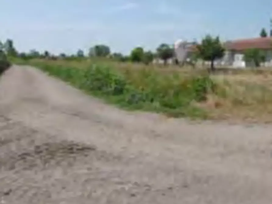 Immagine 3 di Azienda agricola in vendita  in Via Morengo  a Isorella