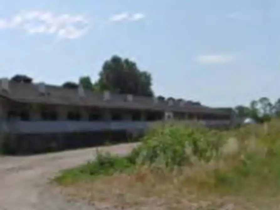 Immagine 7 di Azienda agricola in vendita  in Via Morengo  a Isorella