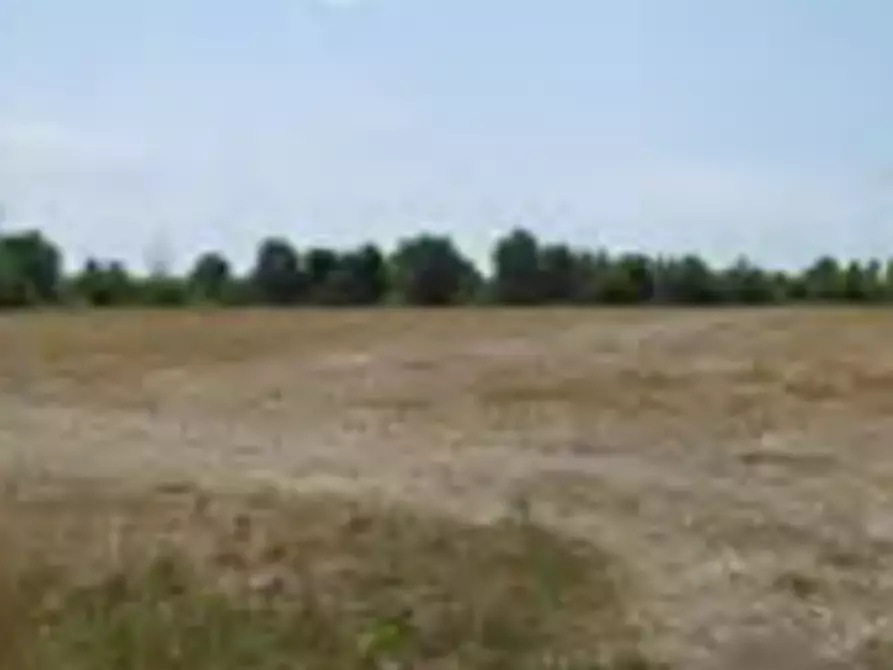 Immagine 8 di Azienda agricola in vendita  in Via Morengo  a Isorella