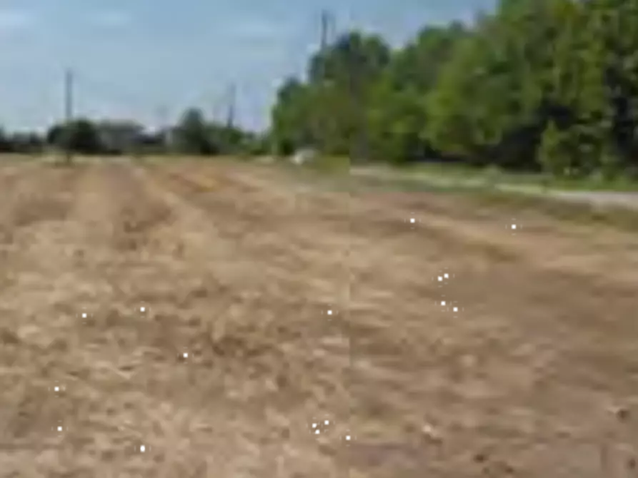 Immagine 9 di Azienda agricola in vendita  in Via Morengo  a Isorella