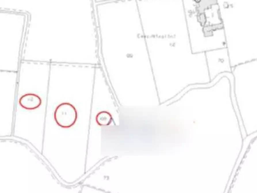 Immagine 10 di Azienda agricola in vendita  in Via Morengo  a Isorella