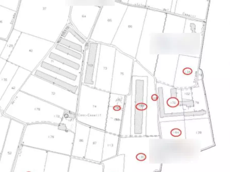 Immagine 11 di Azienda agricola in vendita  in Via Morengo  a Isorella