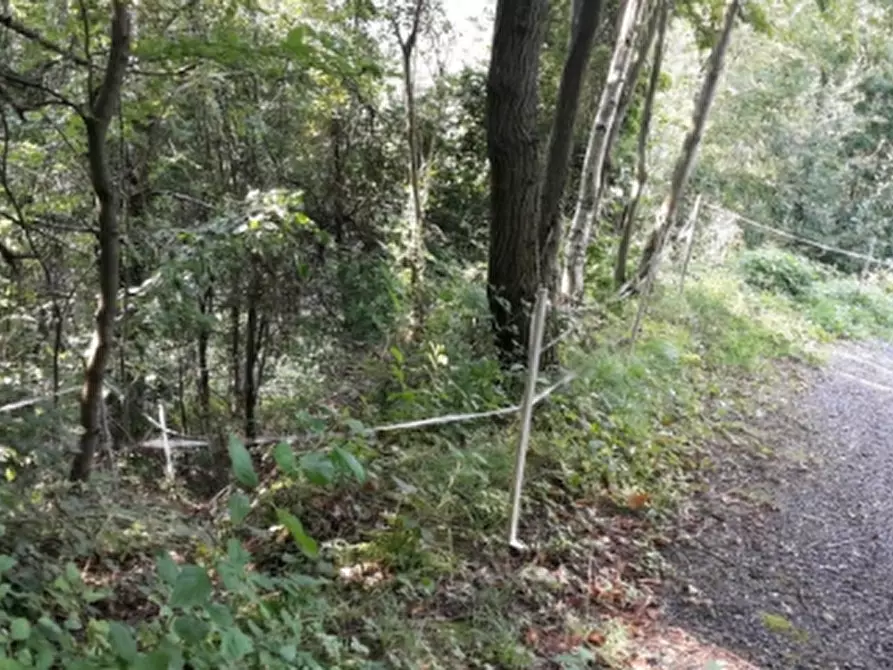 Immagine 2 di Terreno agricolo in vendita  in Tavernole sul Mella a Tavernole Sul Mella