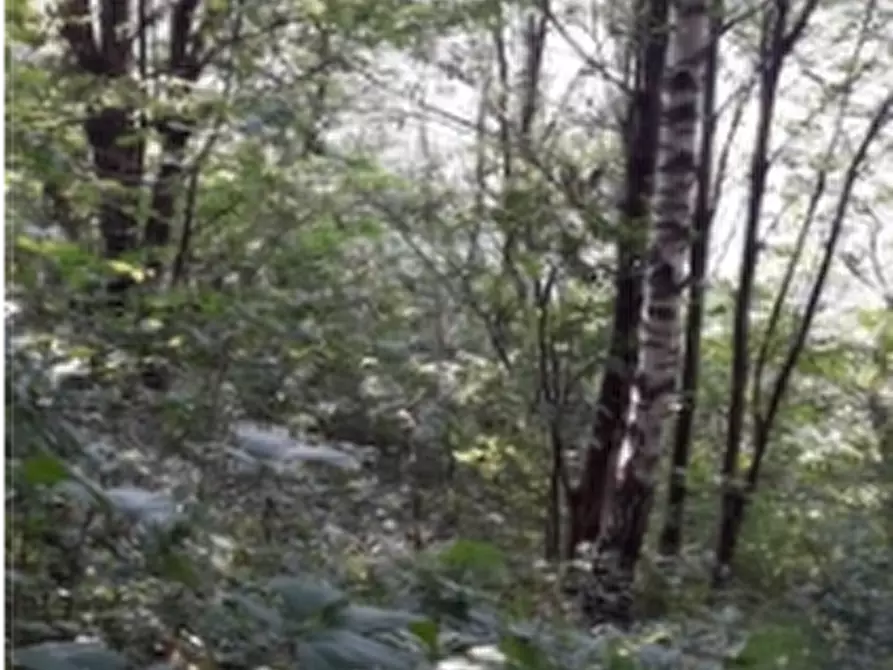 Immagine 4 di Terreno agricolo in vendita  in Tavernole sul Mella a Tavernole Sul Mella